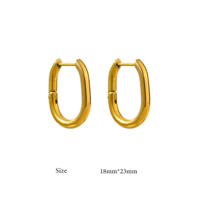 Terra Thick Hoop Earrings