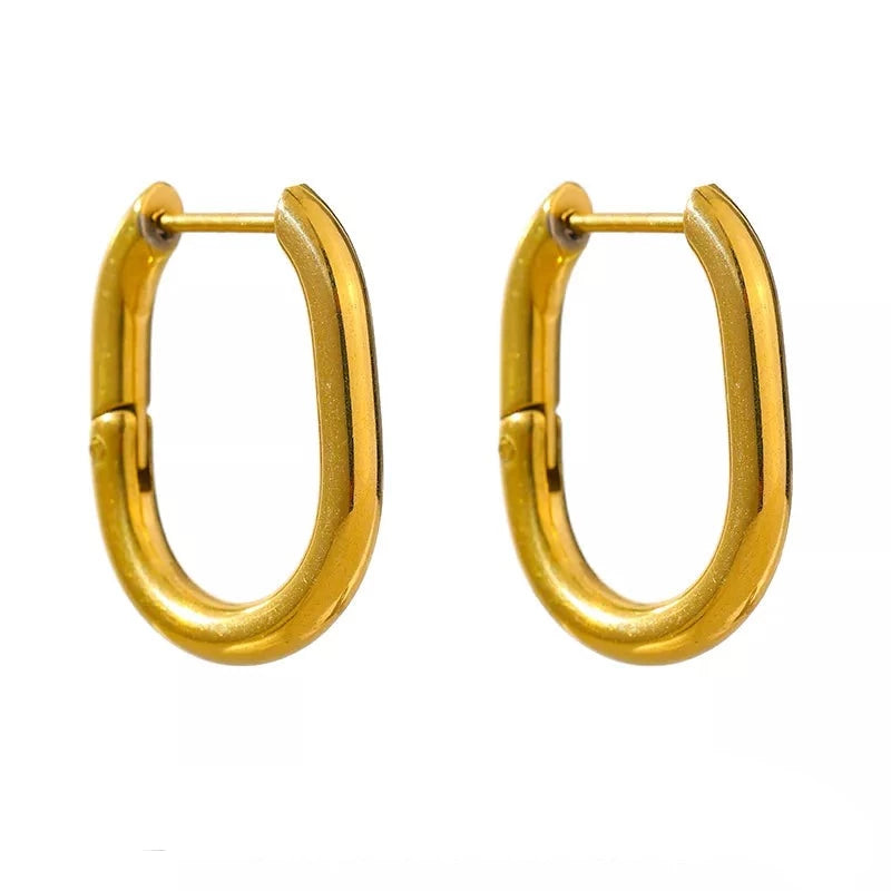 Terra Thick Hoop Earrings