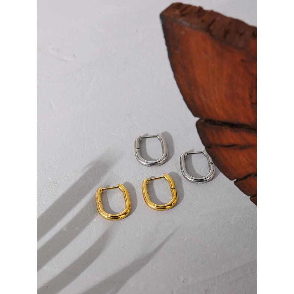 Terra Thick Hoop Earrings